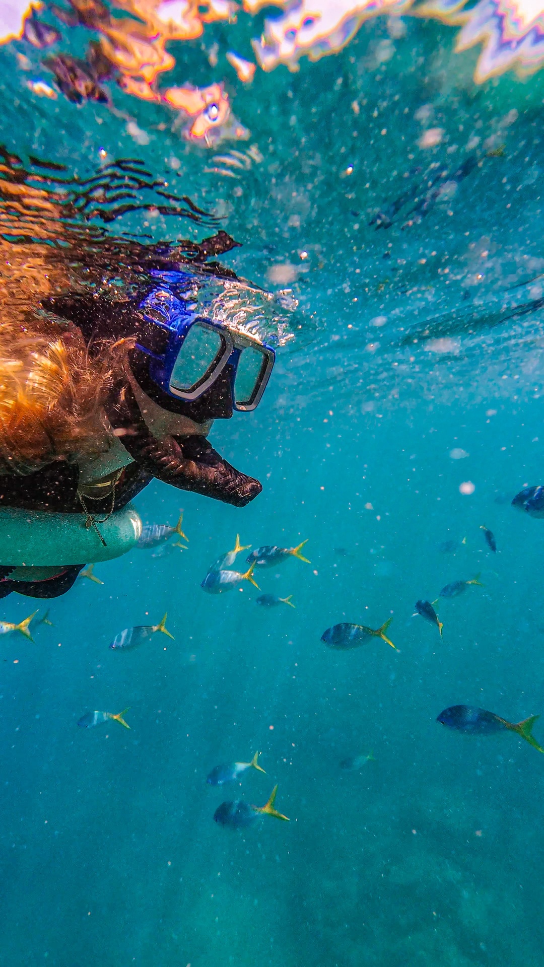 Snorkeling — 3