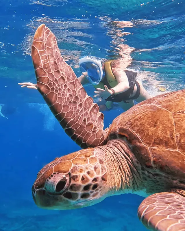SNORKELING