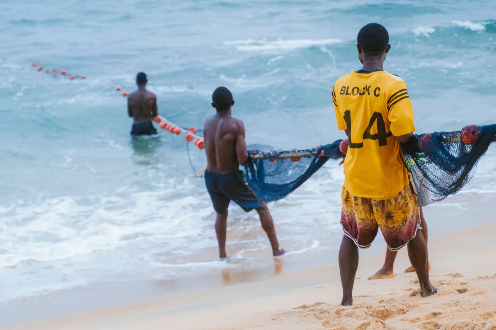Fishing in Boa Vista: Fish Species and Sea Trip in Cape Verde
